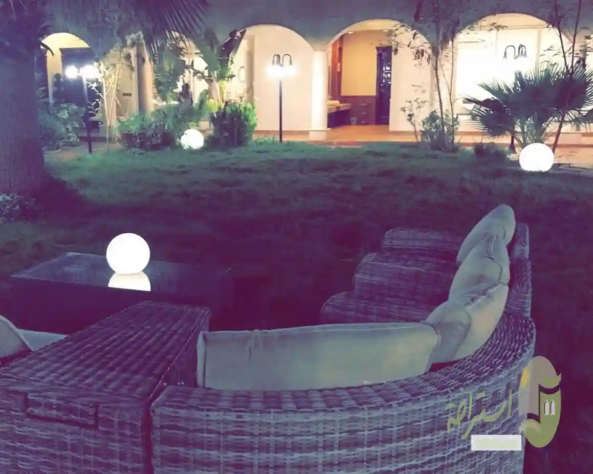 الليوان التخصصي