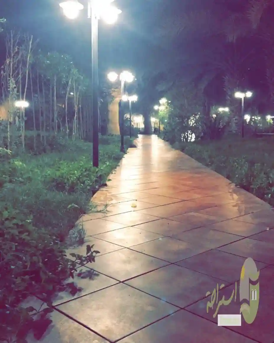 الليوان التخصصي