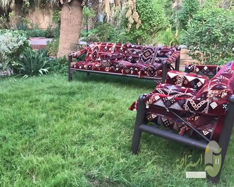 الليوان التخصصي