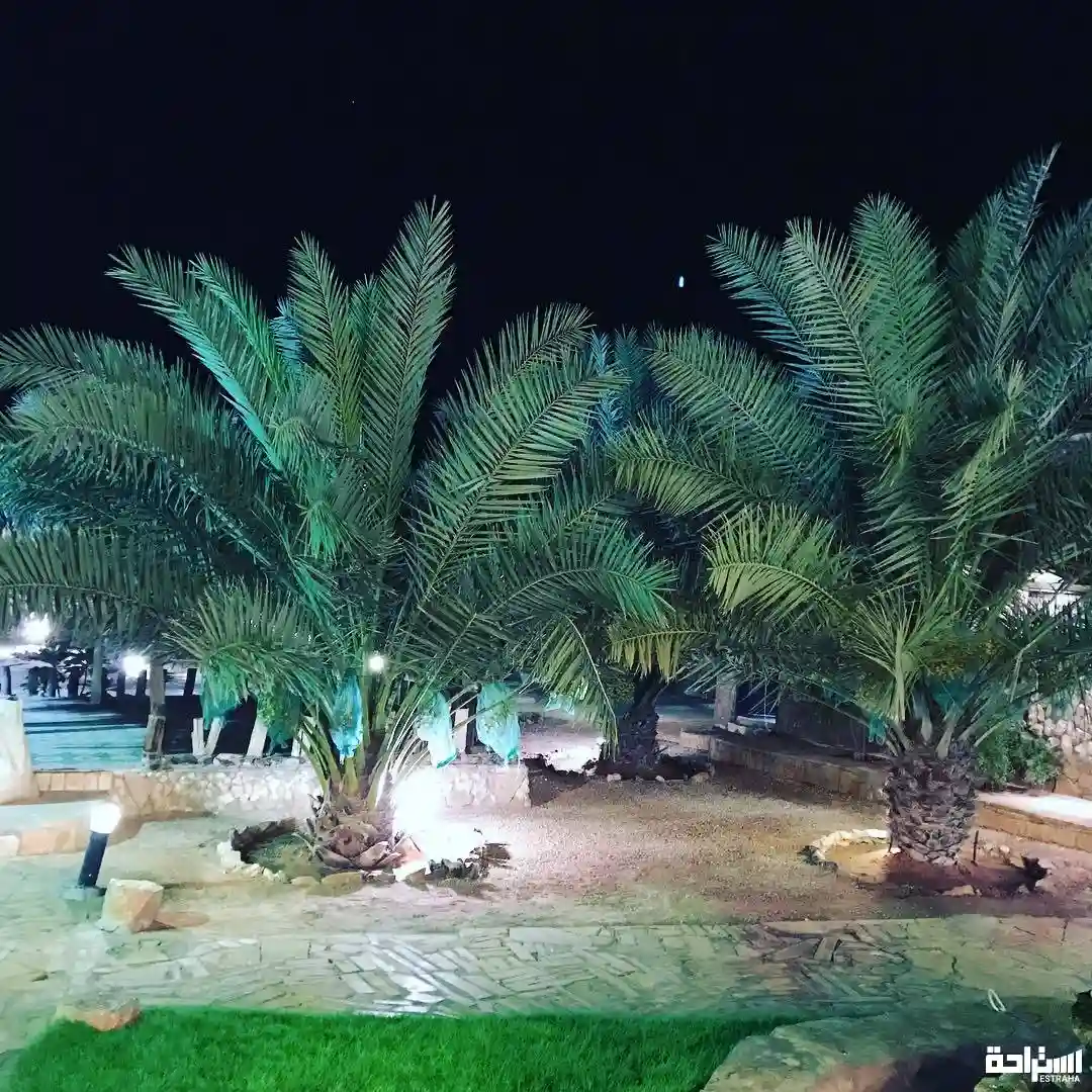 استراحة مرجان العمارية