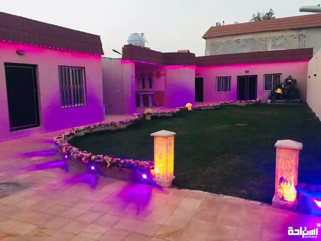 فاملي داي