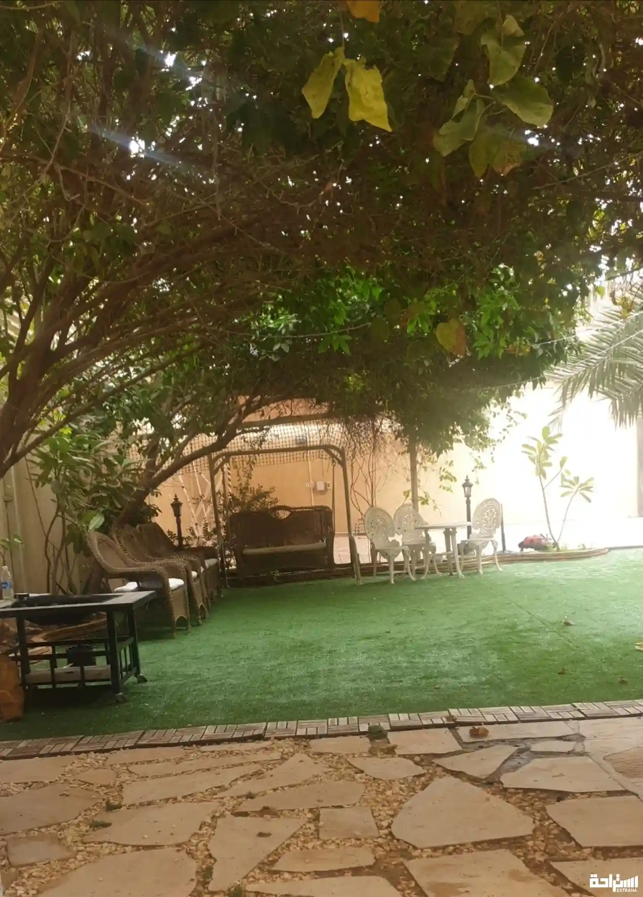 الرونق
