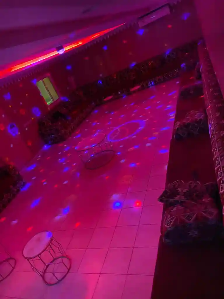 استراحة النخيل