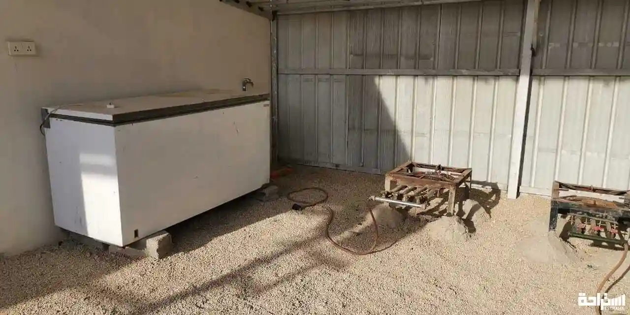 مخيم جبل ابو ولد
