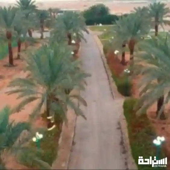 استراحة ومزرعة سينترا للضيافة 