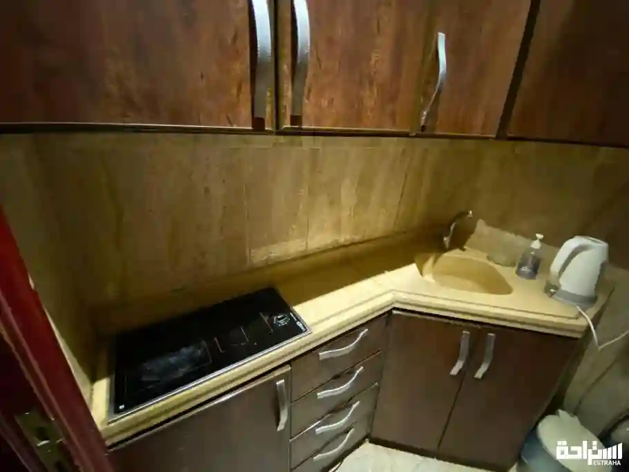 استراحه النخيل