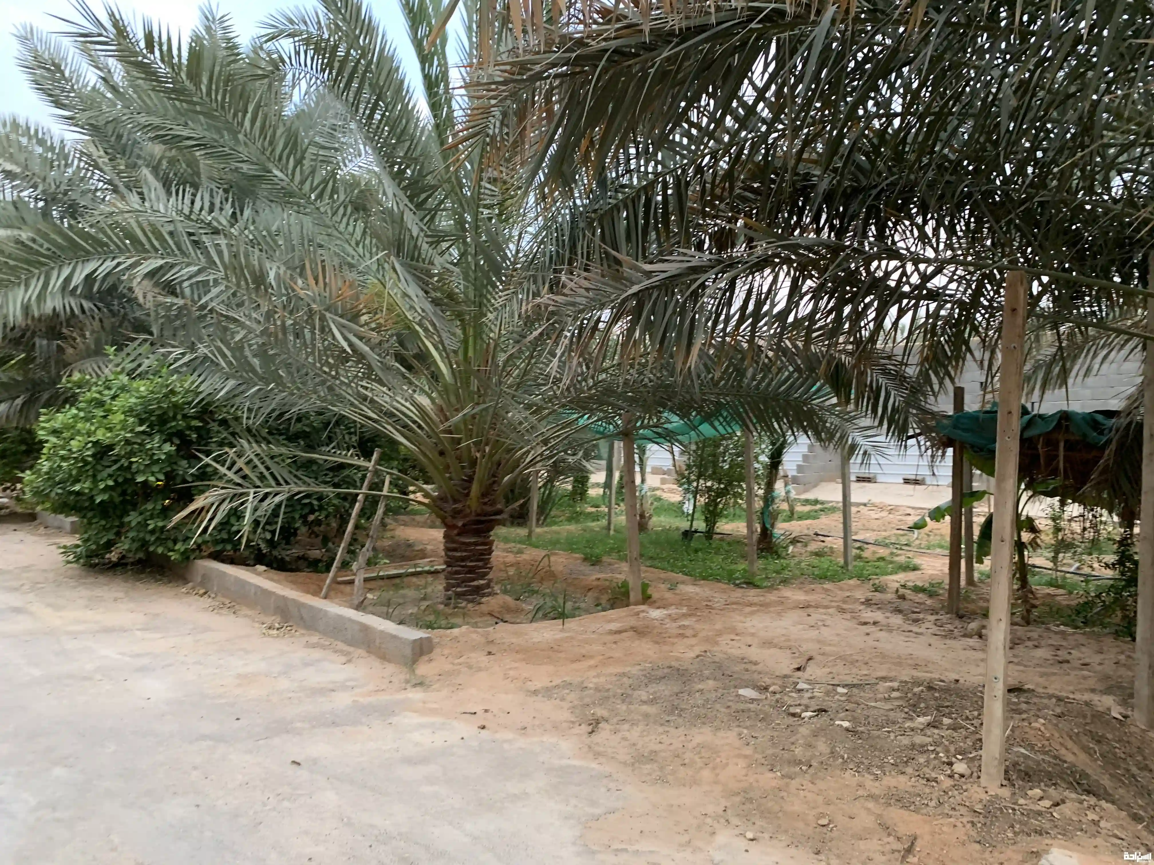 استراحة و مزرعة الجود 