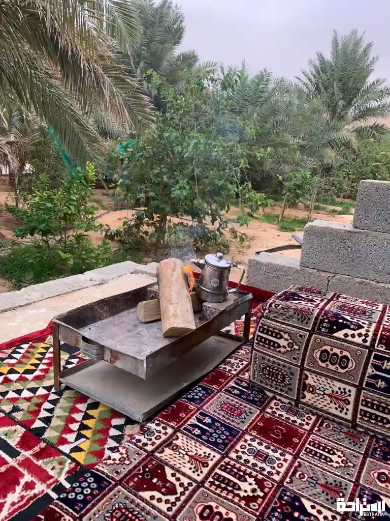 استراحة و مزرعة الجود 